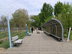 -长白岛森林公园