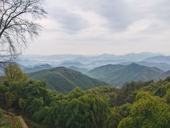 -莫干山风景区