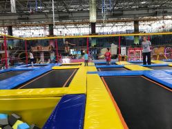 -爱丽丝奇幻乐园