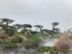 -罗红摄影艺术馆