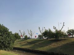 -上海欢乐谷-停车场