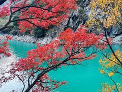 -叠溪松坪沟景区