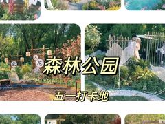 -济南森林公园