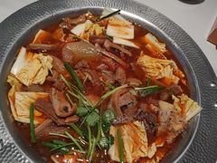 -古乐牛香•鲜牛肉牛杂火锅(系马桩总店)
