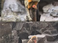 -杭州动物园
