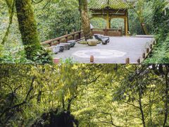 -瓦屋山景区