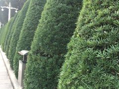 -广东革命历史博物馆办公楼