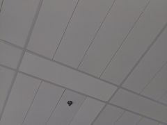 -张士灯具城(家居优选店)