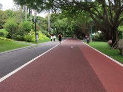 -南宁南湖公园