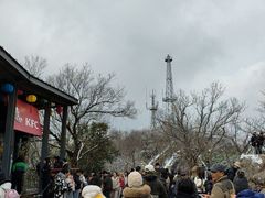 -紫金山山顶公园