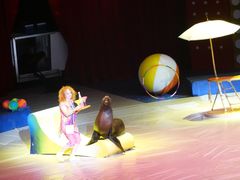 -珠海横琴长隆《卡卡虎奇遇记》