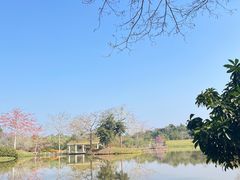 -中国科学院西双版纳热带植物园