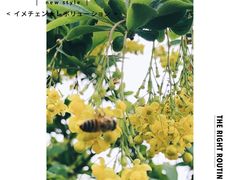 -陕西省西安植物园