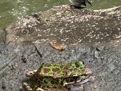 -天台山琼台仙谷景区