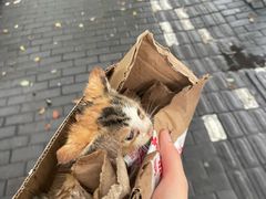 -暖阳宠物医院·犬猫康复中心·骨科