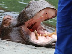 -野生动物园-停车场