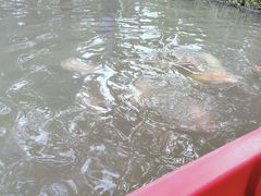 -上海方塔园