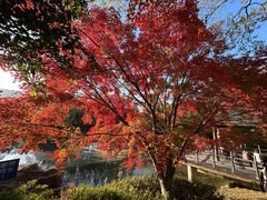 -白马涧龙池景区