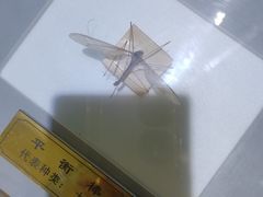 -上海昆虫博物馆