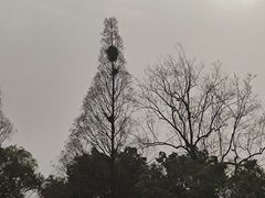 -靓虾二哥长沙地标小龙虾(五一广场店)