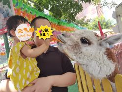 -萌宠亲子动物乐园(槐房万达店)