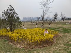 -汉长安城未央宫国家考古遗址公园