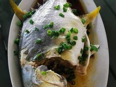 -七鲜渔港美食餐厅(巽寮湾海景店)