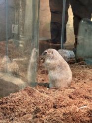 点击看大图 -Zoolung Zoolung动物主题公园(海信广场店)