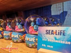 -沈阳海洋探索中心