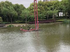 -陈家山荷花公园