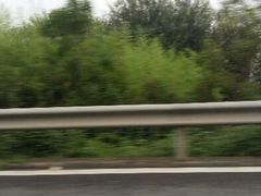 android_upload_pic-呈贡滇池生态湿地公园
