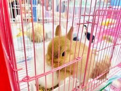 -万达广场(松江店)