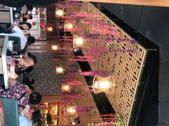 -粤点越有·茶点·粤菜(樵岭国际店)