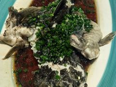 -新名仕新白玉兰餐厅