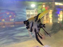 -酷嗒动物文化乐园(cutezoo西溪乐天城店)