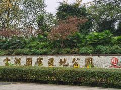 -重庆彩云湖湿地公园