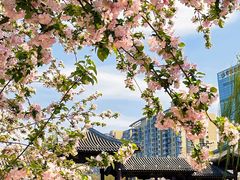 -元大都城垣遗址公园