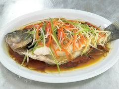 -天鹅到家·保姆月嫂育儿嫂(浦东店)