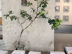 -喜茶(珠海华发商都店)