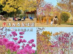 -福道