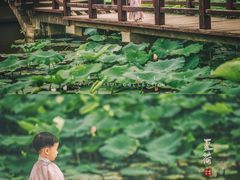 -前关湿地公园