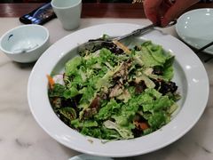 海鲜大拌菜-鸭匠食府·挂炉烤鸭·新京菜(阜成路店)