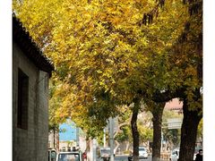 -La Medina餐厅(亮马河南路店)