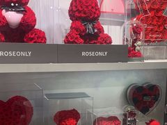 -ROSEONLY诺誓(国际广场购物中心店)