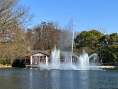 -上海共青森林公园