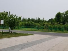 -同里国家湿地公园