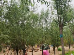 -西部长青自然儿童乐园