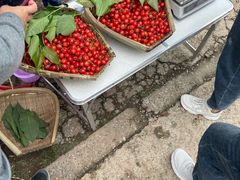 -樱桃山旅游景区