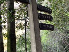 -江郎山风景名胜区