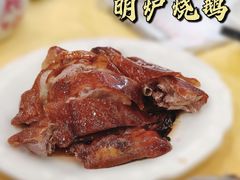 -鸿达渔港